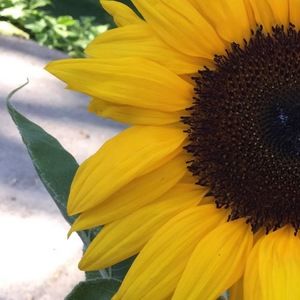 Meet your Posher, Hilary